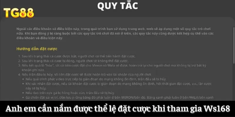 Ws168 Đá Gà - Tận Hưởng Những Trận Đấu Kê Đỉnh Cao 3 Anh em cần nắm được thể lệ đặt cược khi tham gia Ws168