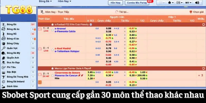 SBO Bet TG88 - Trải Nghiệm Sân Cá Độ Hàng Đầu Châu Á 1 Sbobet Sport cung cấp gần 30 môn thể thao khác nhau