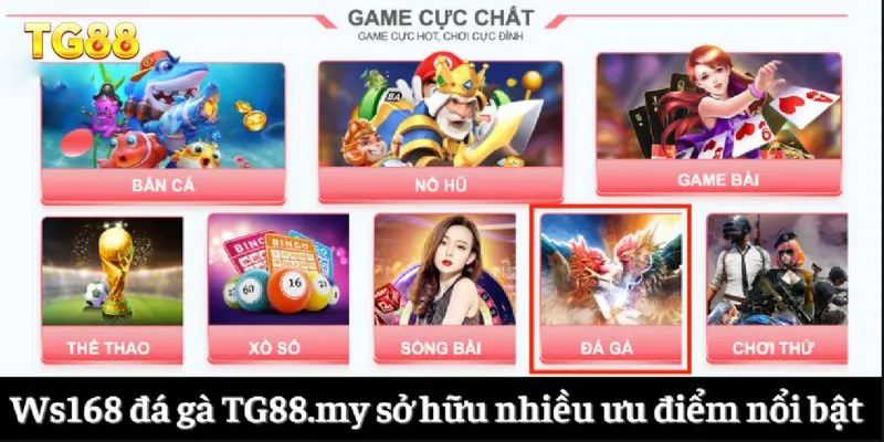 Ws168 Đá Gà - Tận Hưởng Những Trận Đấu Kê Đỉnh Cao 2 Ws168 đá gà TG88.my sở hữu nhiều ưu điểm nổi bật
