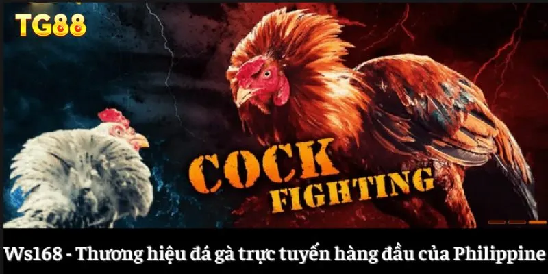 Ws168 Đá Gà - Tận Hưởng Những Trận Đấu Kê Đỉnh Cao 1 Ws168 - Thương hiệu đá gà trực tuyến hàng đầu của Philippine