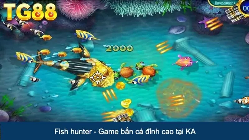 KA Bắn Cá | Sảnh Game Xứng Tầm Đẳng Cấp Quốc Tế 3 Fish hunter - Game bắn cá đỉnh cao tại KA