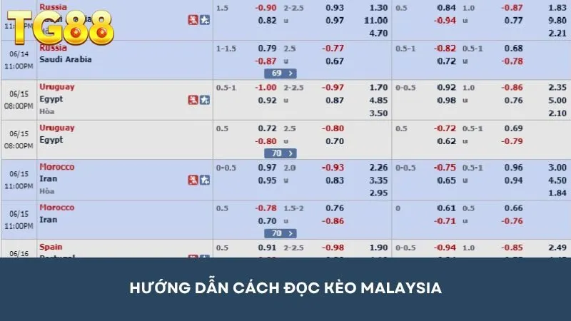 Hướng dẫn cách đọc kèo cược Malaysia từ A - Z