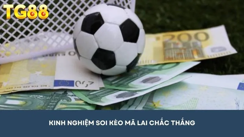 Bật mí kinh nghiệm soi kèo cược Mã Lai chắc thắng